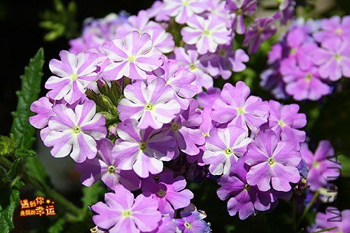 ��Ƭ 177_����.jpg