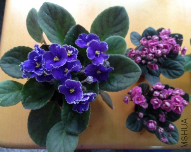 QQͼƬ20130626160050.jpg