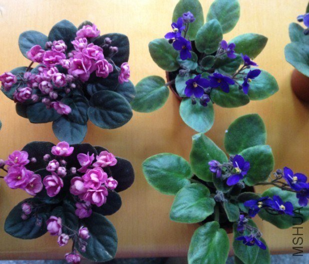 QQͼƬ20130626160106.jpg