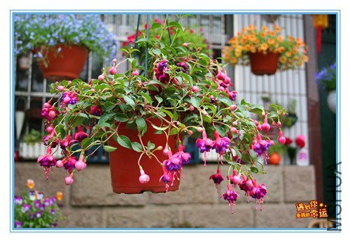 ��Ƭ 058_����.jpg