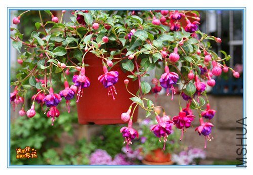 ��Ƭ 060_����.jpg