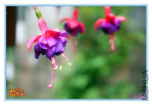 ��Ƭ 065_����.jpg