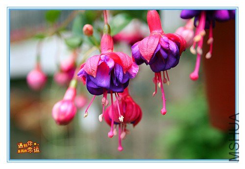 ��Ƭ 067_����.jpg