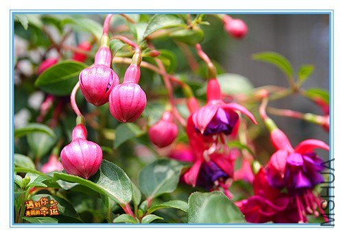 ��Ƭ 071_����.jpg