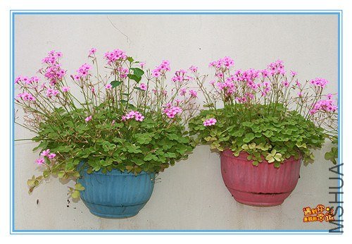 ��Ƭ 091_����.jpg