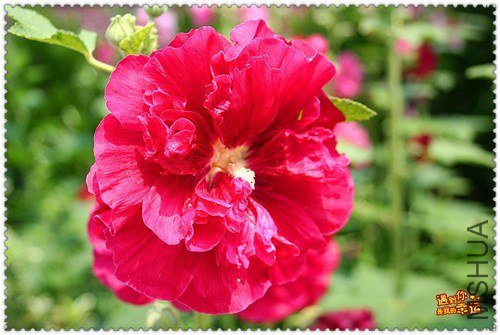 ��Ƭ 022_����.jpg