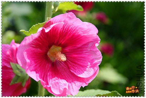 ��Ƭ 025_����.jpg