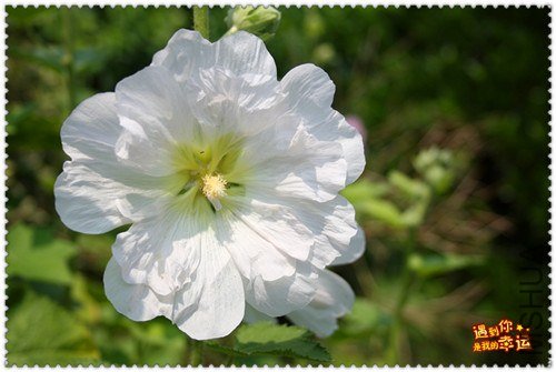 ��Ƭ 026_����.jpg