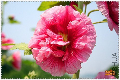 ��Ƭ 031_����.jpg