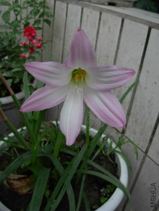 DSCN3196g.JPG