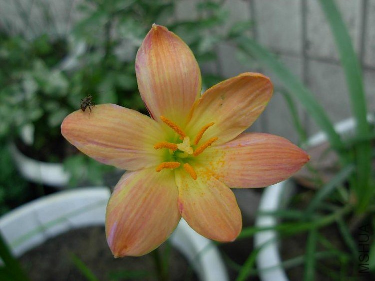 DSCN3197g.JPG
