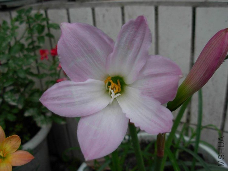 DSCN3199g.JPG