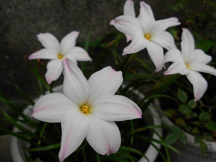 DSCN3203g.JPG
