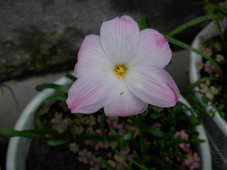 DSCN3204g.JPG
