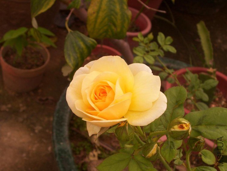 100_0518.JPG