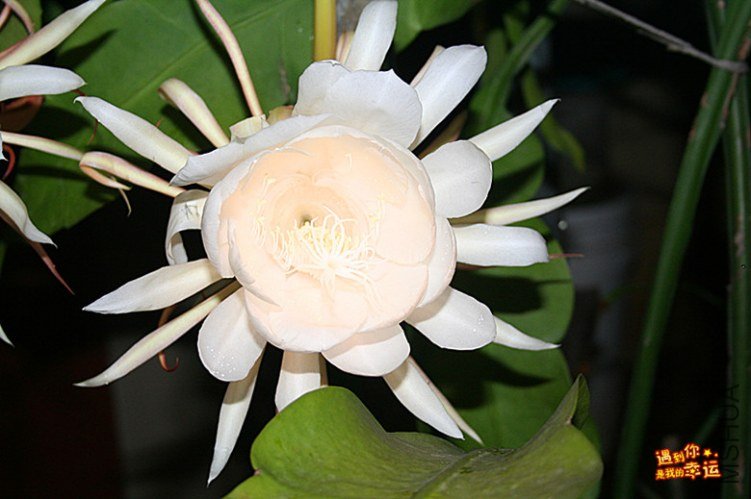 ��Ƭ 007_����.jpg