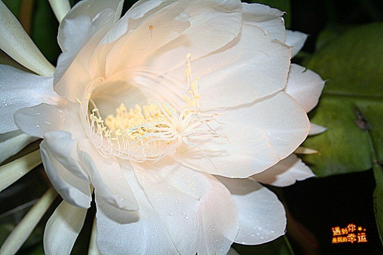 ��Ƭ 010_����.jpg