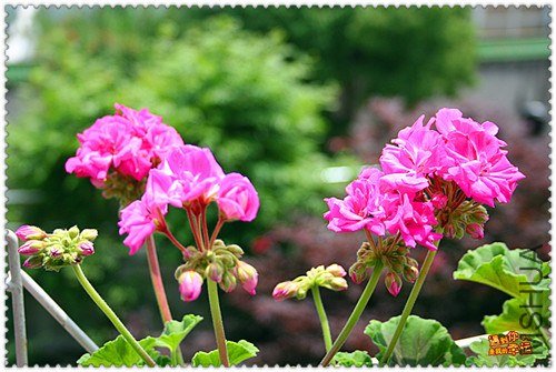 ��Ƭ 221_����.jpg