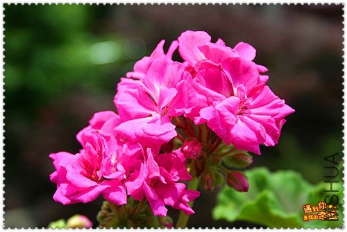 ��Ƭ 223_����.jpg