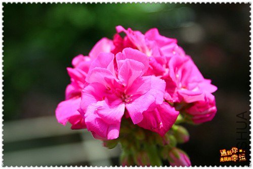 ��Ƭ 224_����.jpg