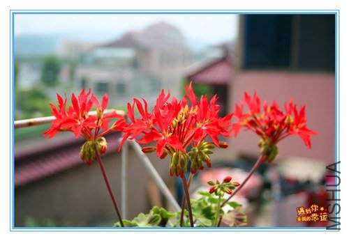 ��Ƭ 225_����.jpg