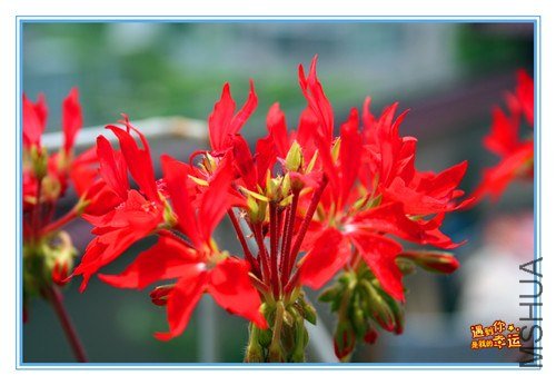 ��Ƭ 227_����.jpg