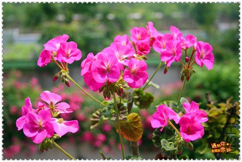 ��Ƭ 228_����.jpg