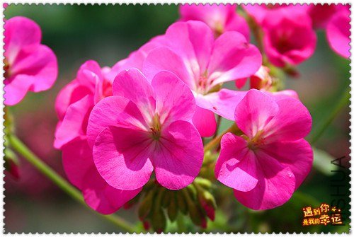 ��Ƭ 231_����.jpg