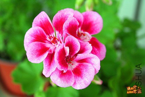 ��Ƭ 014_����.jpg