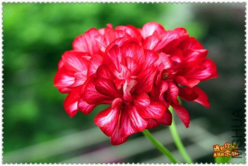 ��Ƭ 024_����.jpg