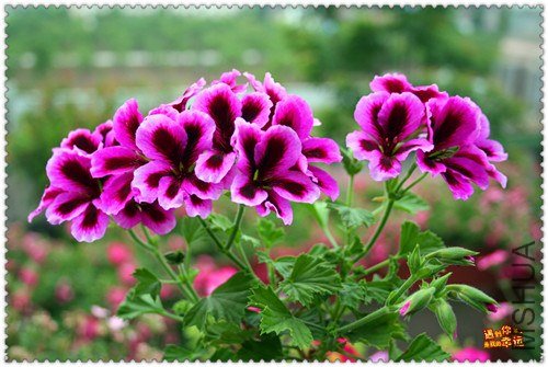 ��Ƭ 003_����.jpg