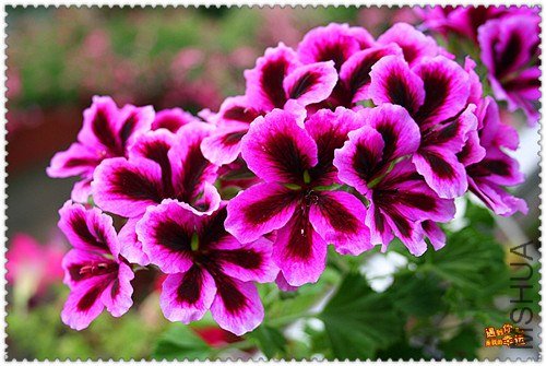 ��Ƭ 004_����.jpg