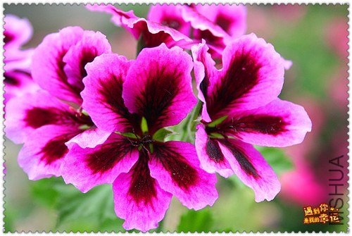 ��Ƭ 008_����.jpg