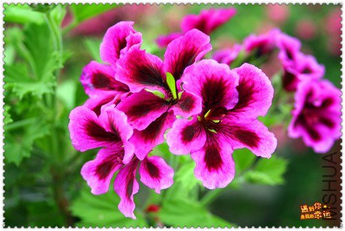 ��Ƭ 011_����.jpg