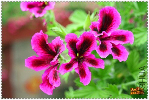 ��Ƭ 013_����.jpg