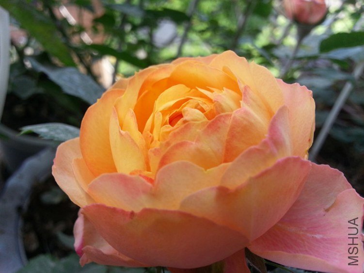 20130425_075057_����.jpg