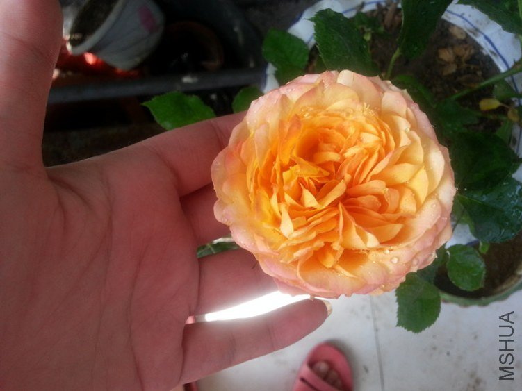 20130427_145114_����.jpg