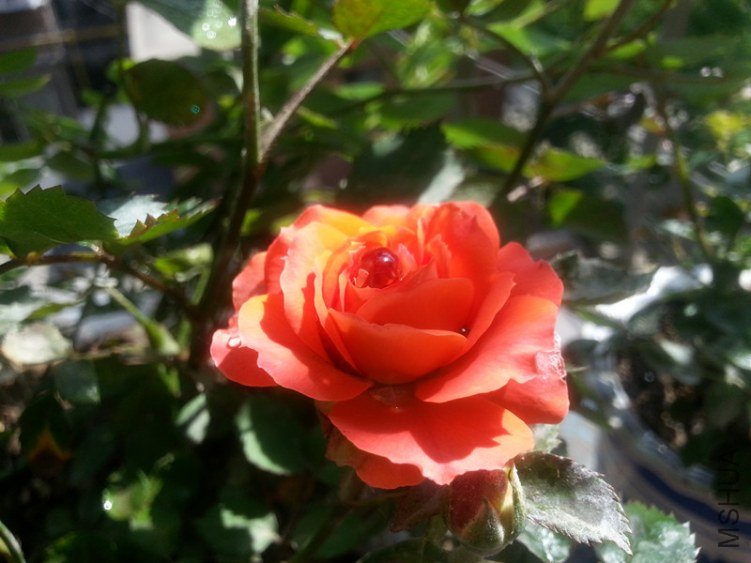 20130427_145223_����.jpg