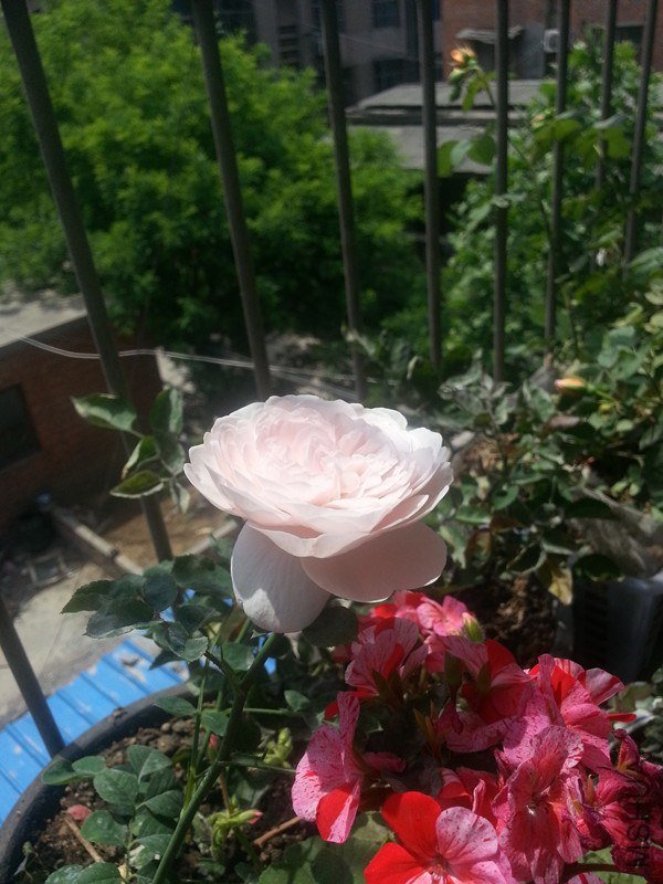 20130502_122707_����.jpg