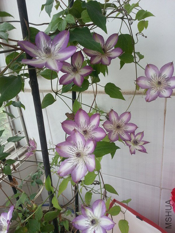 20130504_110836_����.jpg