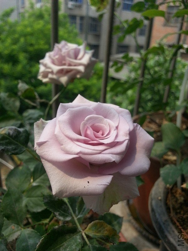 20130504_111012_����.jpg