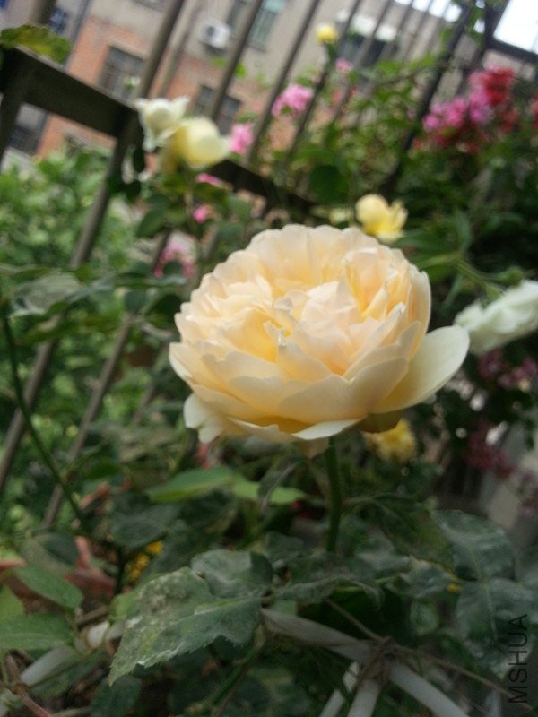 20130504_111017_����.jpg