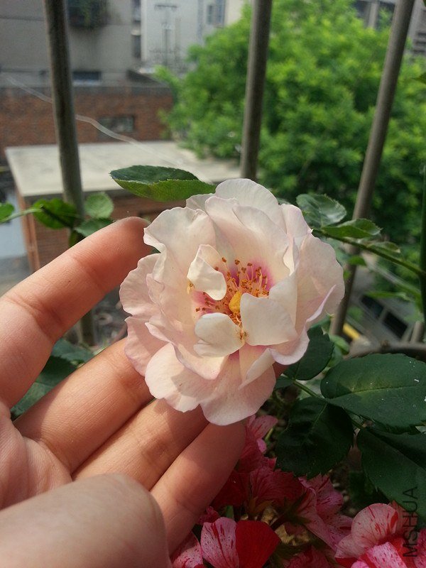 20130504_111213_����.jpg