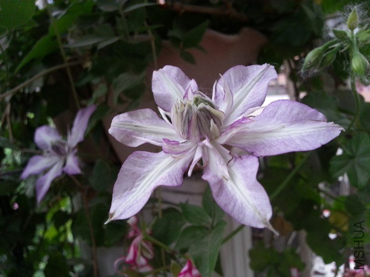 20130505_173817_����.jpg