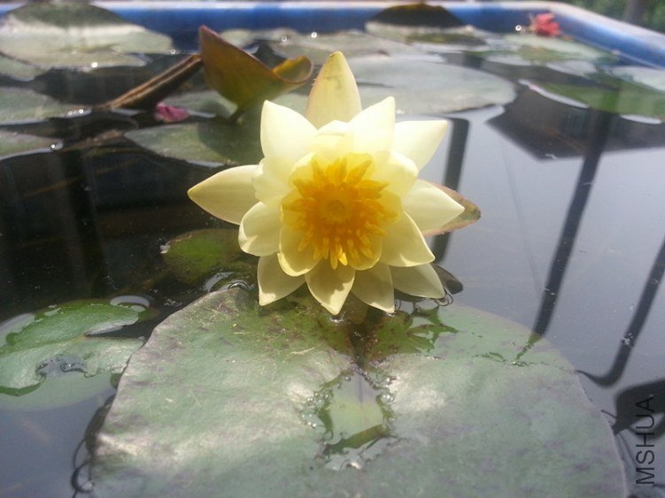 20130515_130240_����.jpg