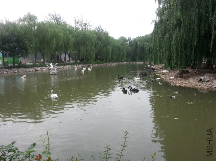 20130531_085735_����.jpg