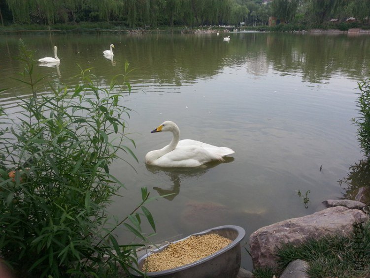 20130531_090155_����.jpg