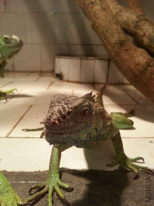 20130531_095847_����.jpg