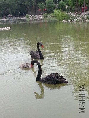 20130531_105311_����.jpg