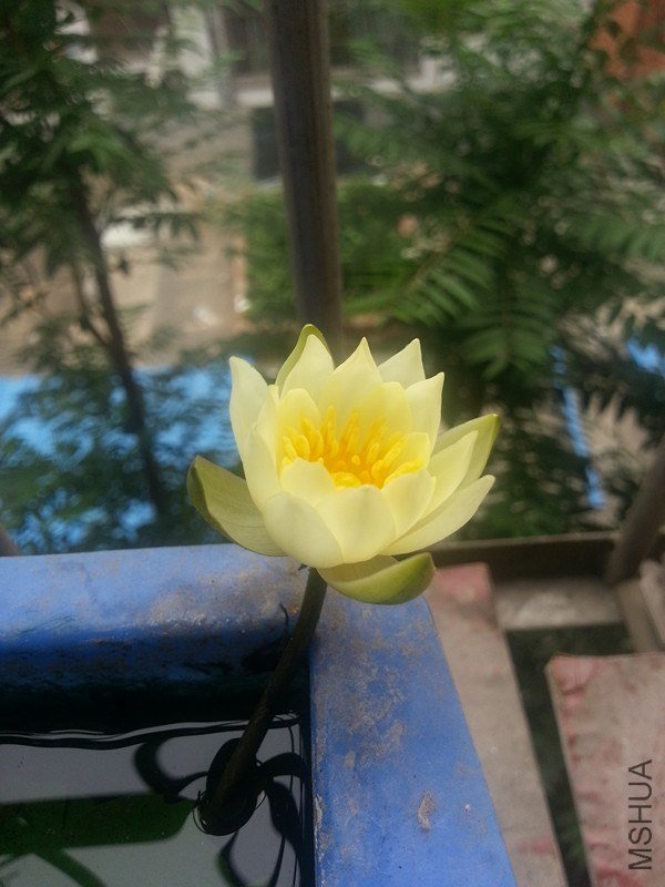 20130609_124525_����.jpg
